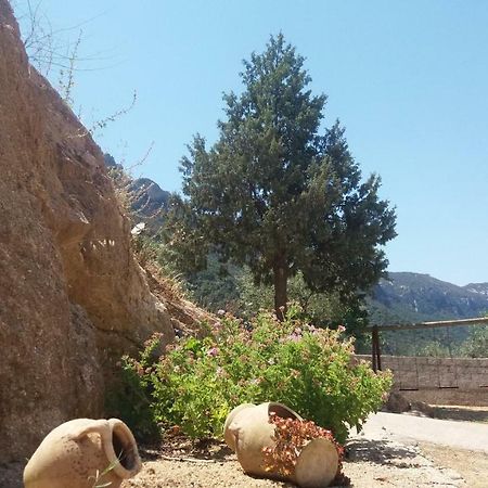 Casa Lucia Campagna Relax Dorgali Exterior foto