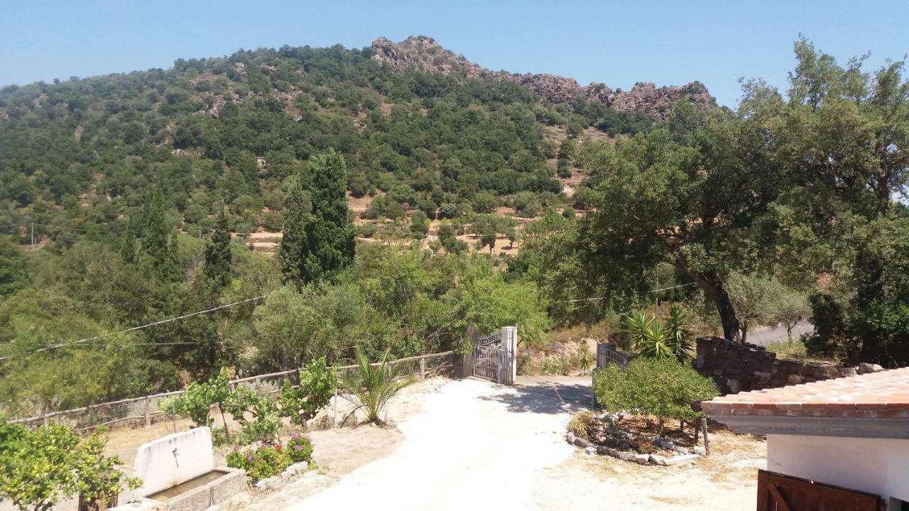 Casa Lucia Campagna Relax Dorgali Exterior foto